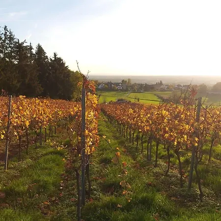 Mit Terrasse Am Rosengarten * Alzenau in Unterfranken